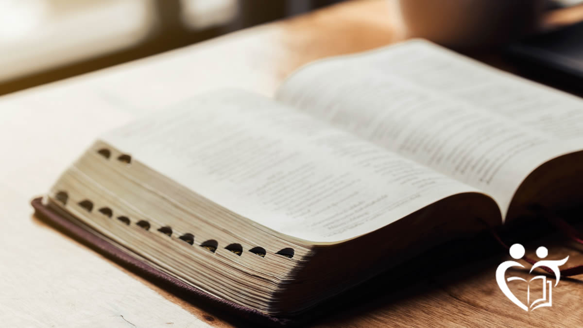 ¿Qué aplicaciones existen para leer la Biblia en línea?