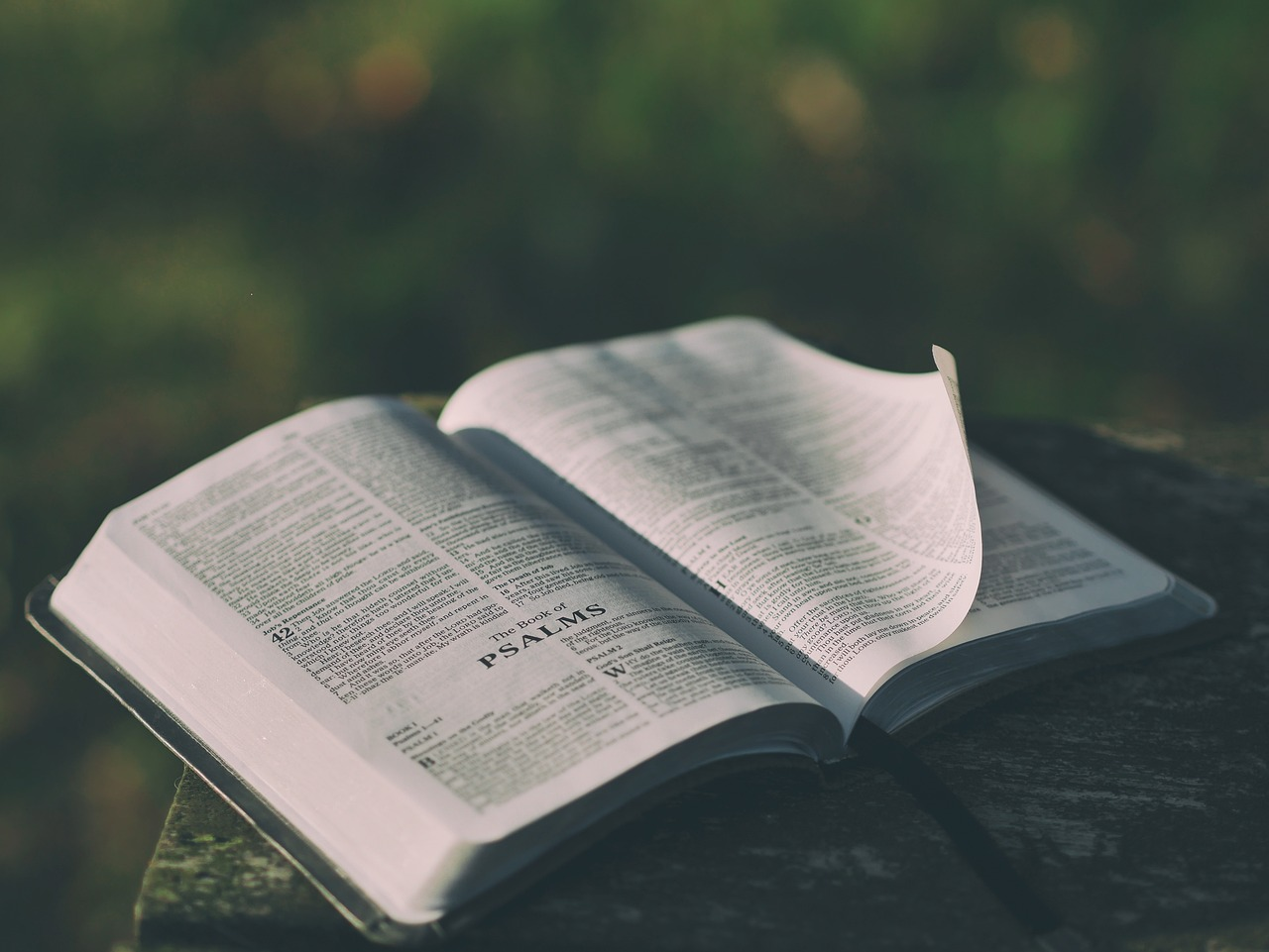 Today's Word for Life: Cómo seguir adelante tras un duelo