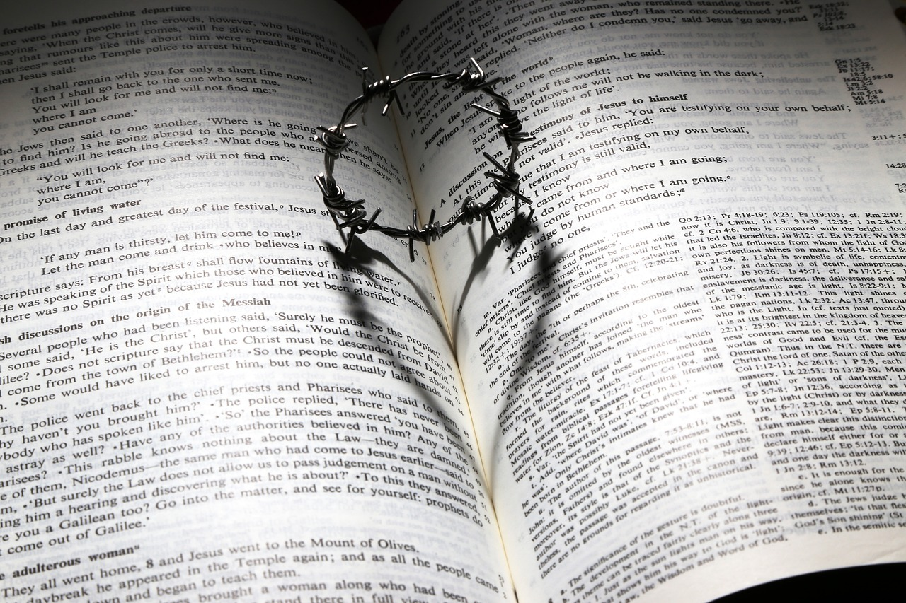 The Bible and You: Discovering Life Messages in the Scriptures