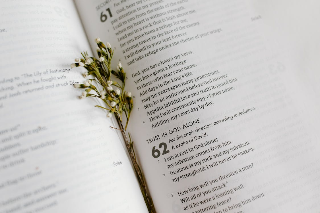Psalm 37 1-3: See the full explanation